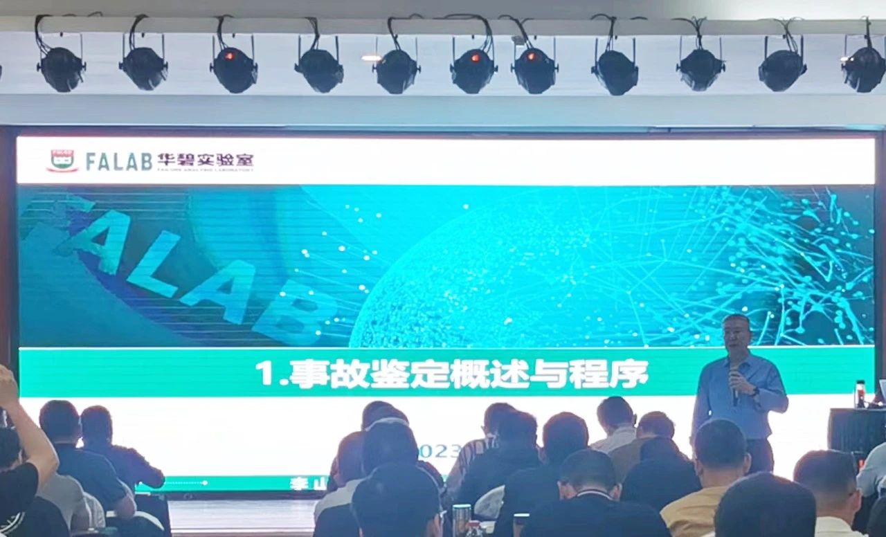 1702429638307105.jpg 4.jpg